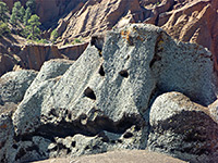 Lichen-covered rock