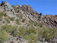 Saguaro below a ridge