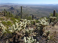 Waterman Peak Trail