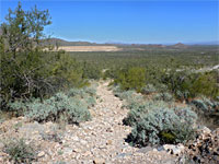 Stony path