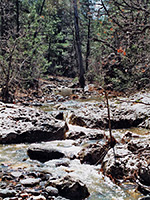 Stream in Meadow Canyon