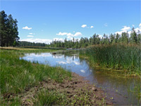 White Horse Lake