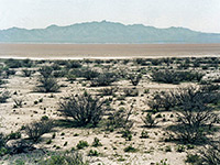 Edge of Willcox Playa