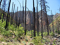 North Wilson Trail, Sedona