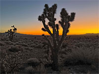 Woodbury Desert Study Area