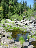 Shallow pool