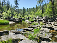 Pool and boulders