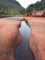 The streambed