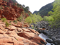 Woods Canyon Trail