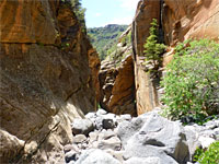 Descending streambed