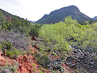 Bushes and boulders