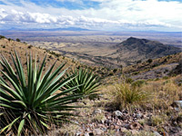 Coronado Peak and Yaqui Ridge Trails