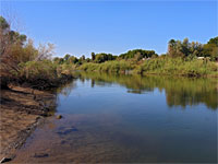 Reflections on the river