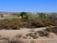 East Wetlands Park