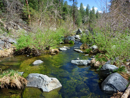 Shallow section of Oak Creek