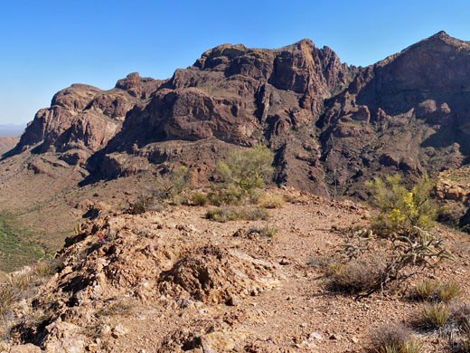 Ajo Mountains