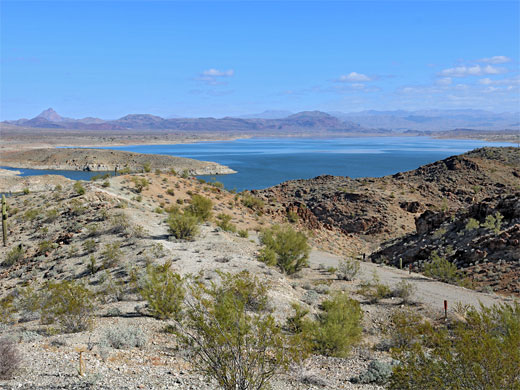 Alamo Lake State Park