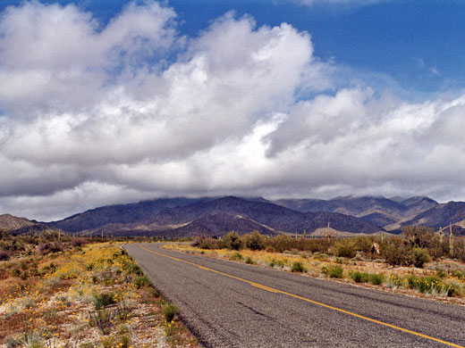 Road approaching the Harcuvar Mountains