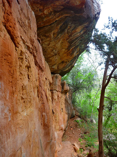 Supai cliffs alongside the Allens Bend Trail