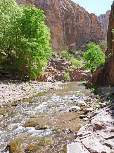 Rapids