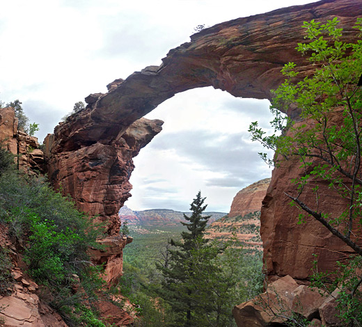 Trees behind and below Devils Bridge