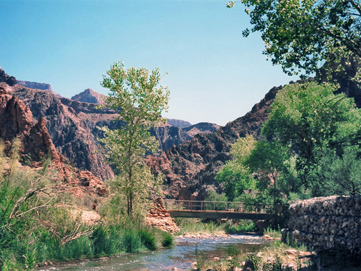 Bright Angel Creek, near Phantom Ranch