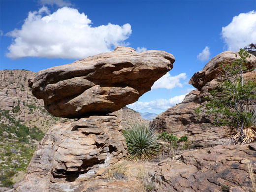 Chiricahua Natural Bridge Trail