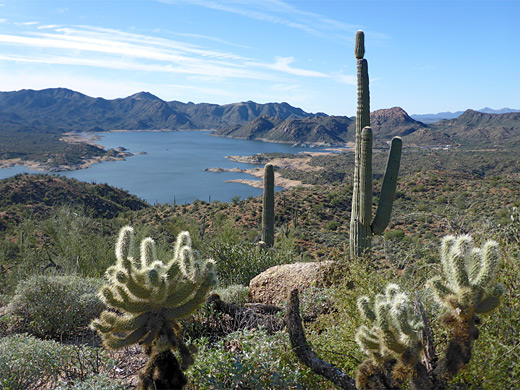 Bartlett Reservoir