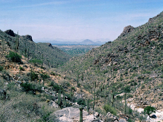 View down Bear Canyon