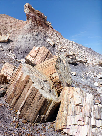 Crumbling log