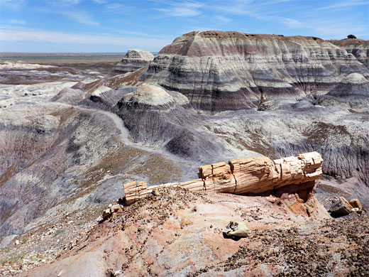 Petrified log and purplish mounds