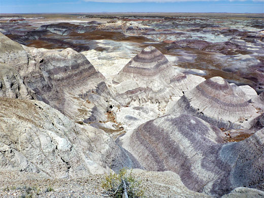 Petrified Forest National Park