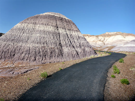 Path and mound