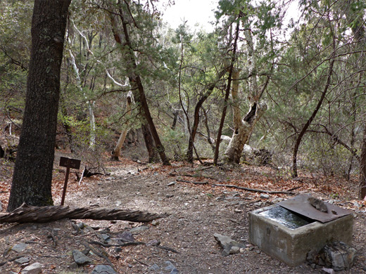 Tank at Bog Springs