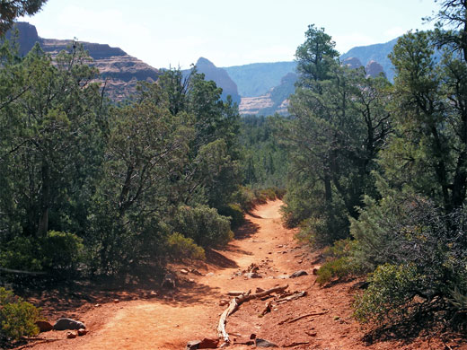 Brins Mesa Trail