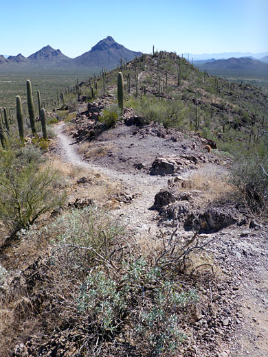 Rocky trail, Brown Mountain