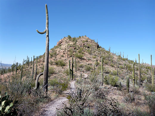 Trail to a peak