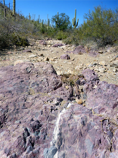 Purple sandstone