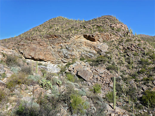 Cliff and boulders