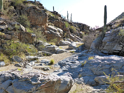 Narrow place in Wild Burro Canyon