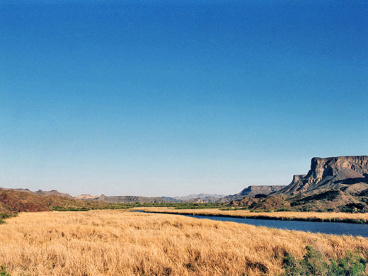 Grasslands in the wildlife refuge