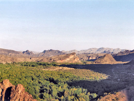 Woodland in the national wildlife refuge