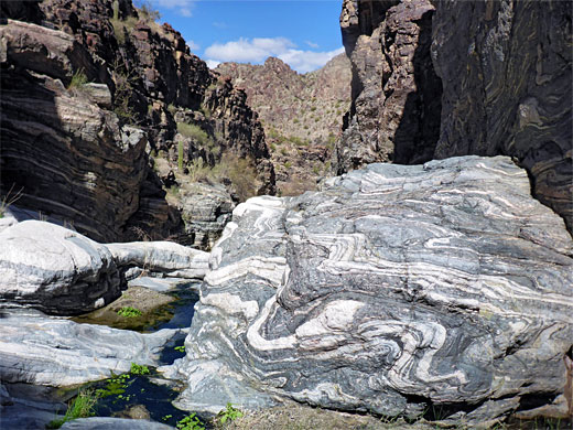 Marble veins in gneiss, Ives Wash