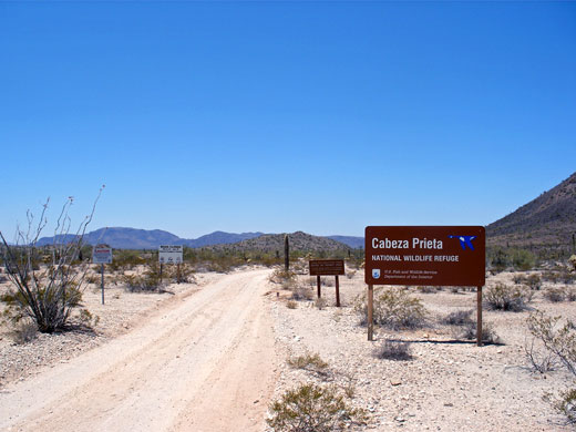 Cabeza Prieta National Wildlife Refuge