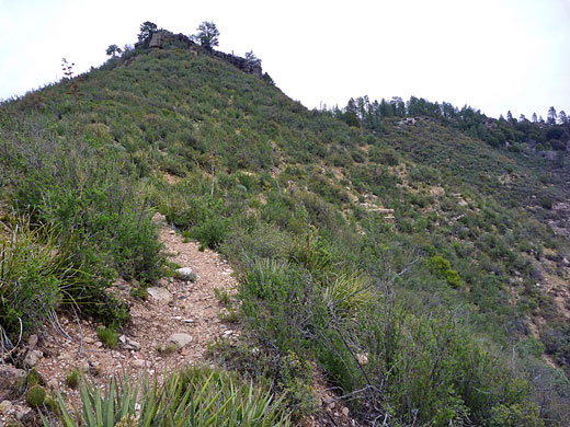 Upper end of the Thomas Point Trail