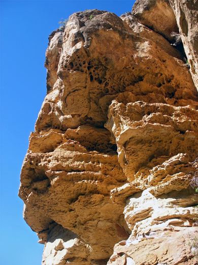 Eroded cliff face