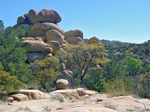 Boulders and bushes