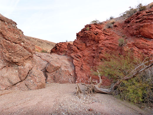 Red rocks at Cottonwood Spring