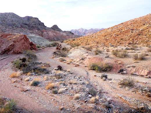 Stony drainage - at the junction with Razorback Wash