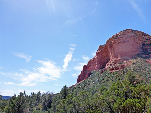 Trees below the butte